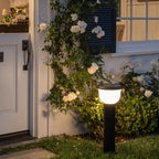 LED Landscape Path Light Modern Bowl-Shade Outdoor Lawn Light