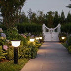 LED Landscape Path Light Modern Bowl-Shade Outdoor Lawn Light
