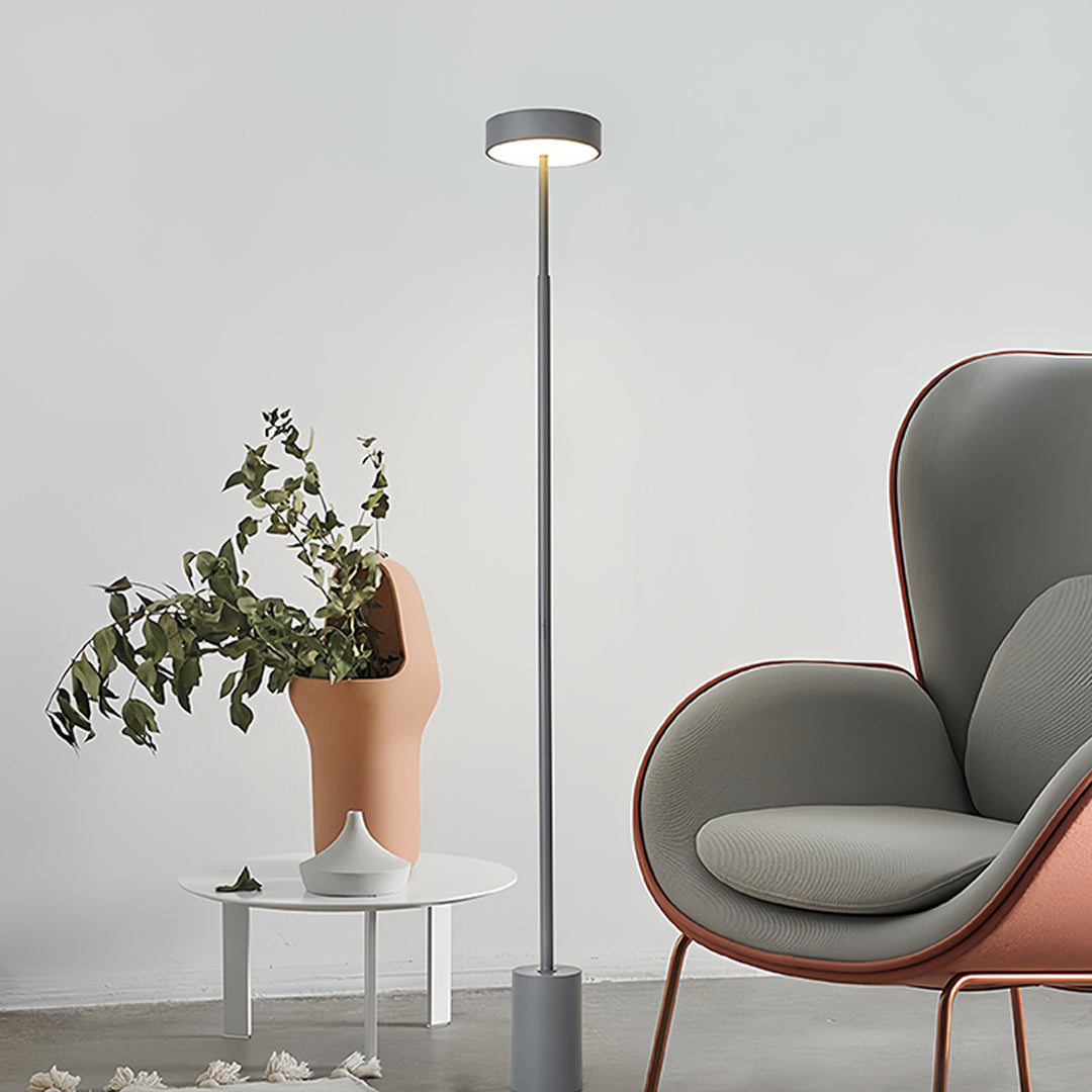 Petite Floor Lamp Modern Dimmable  Contemporary Reading Pole Lamps