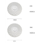 Metal Acrylic Flush Mount Ceiling Light Dimmable Unique LED Light