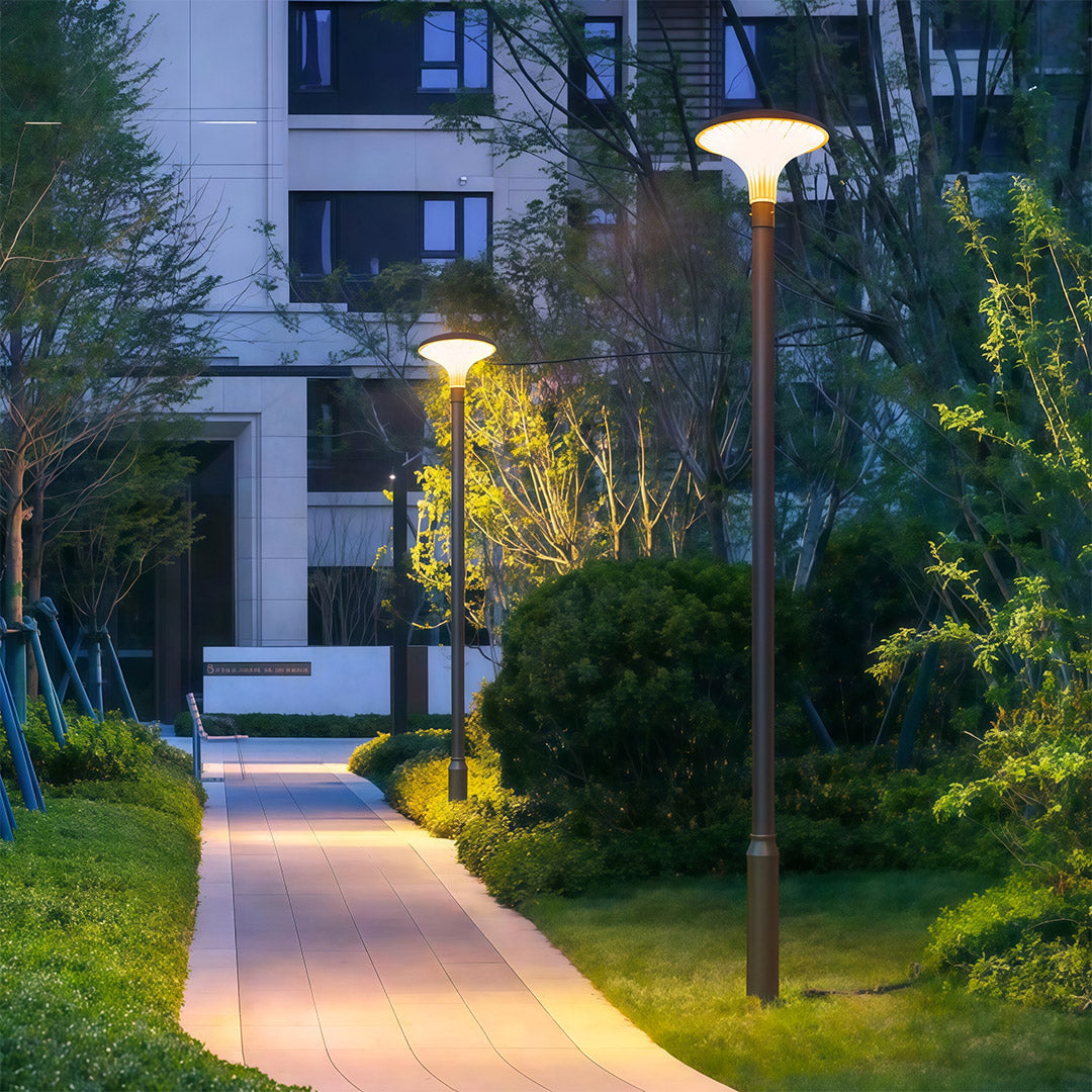 Street Lighting Fixtures Solar Waterproof High Pole Light