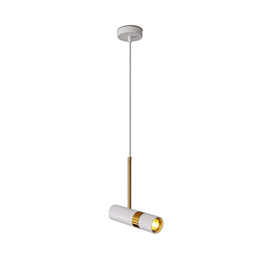 Spot Light Pendant Light Fixtures Nordic Metal LED Ceiling Light